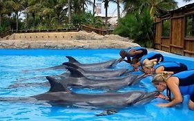 Precious Paradise Ushaka